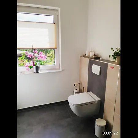Neu! Ferienhaus Zur Alten Schlosserei Mit Sauna * Calau
